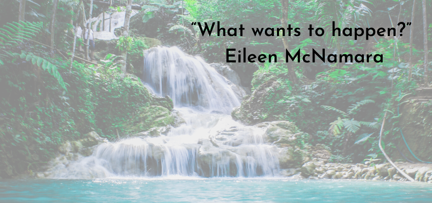 What wants to happen?  Ellen McNamara quote in front of waterall flowing into still water